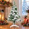 RAHEEV; 2 Ft Snow Flock Artificial Christmas Tree Mini Tabletop Holiday Decor; Category:Christmas Tabletop & Accent Trees; Image:4